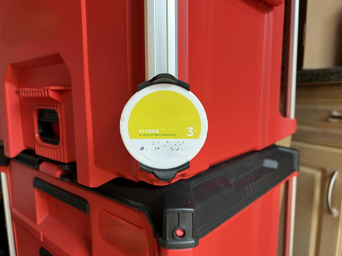 Milwaukee Packout Zyn Holder for Standard Nicotine Pouch Cans - Rail-Mounted Storage Organizer